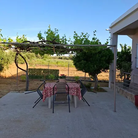 The House In The Olive Grove Amaliada