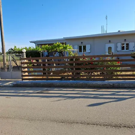 The House In The Olive Grove 別荘