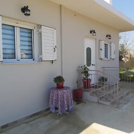 The House In The Olive Grove