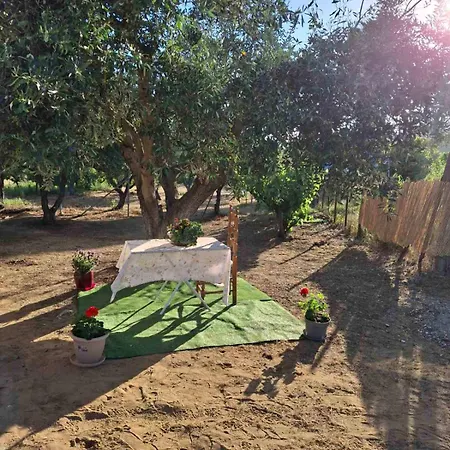 The House In The Olive Grove 別荘