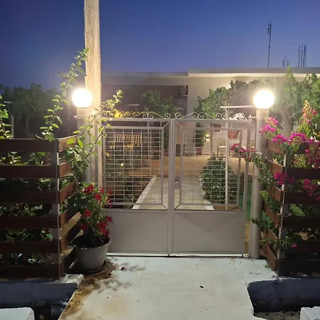 The House In The Olive Grove *