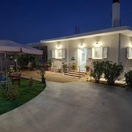 The House In The Olive Grove