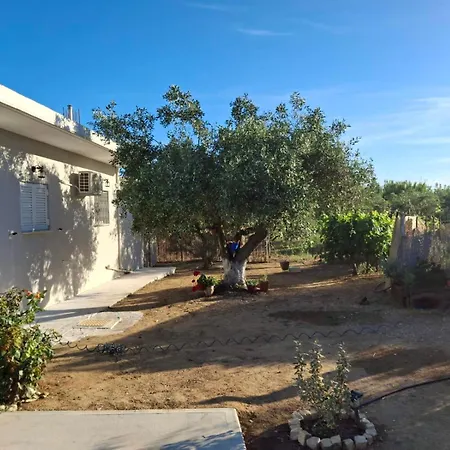 The House In The Olive Grove Amaliada