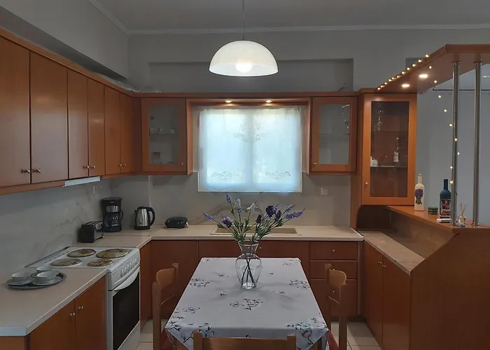 The House In The Olive Grove *