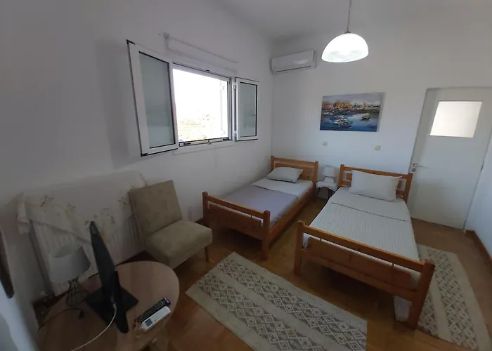 別荘 The House In The Olive Grove