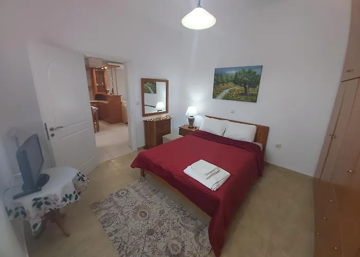 The House In The Olive Grove