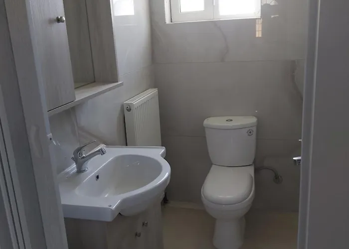 別荘 The House In The Olive Grove Amaliada