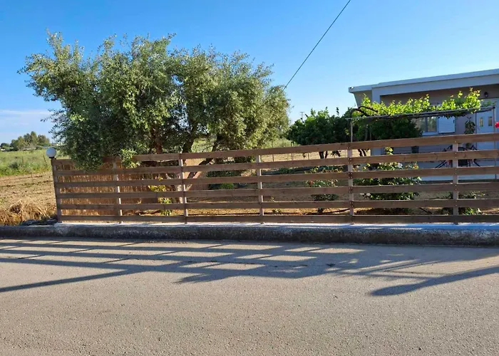 The House In The Olive Grove * Amaliada