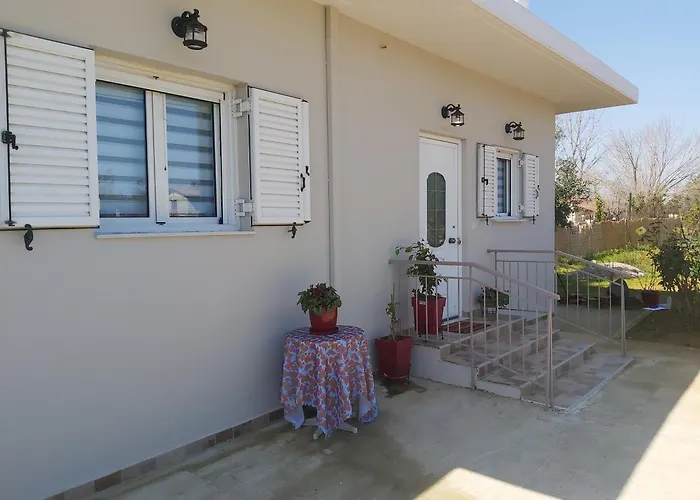 The House In The Olive Grove