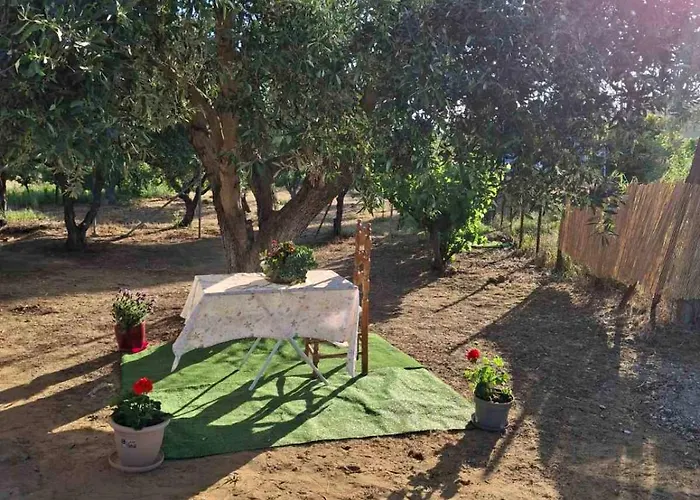 The House In The Olive Grove בית נופש